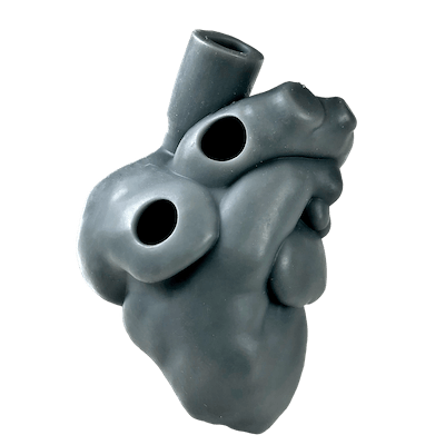 3D printed heart model made with carbon DLS technology